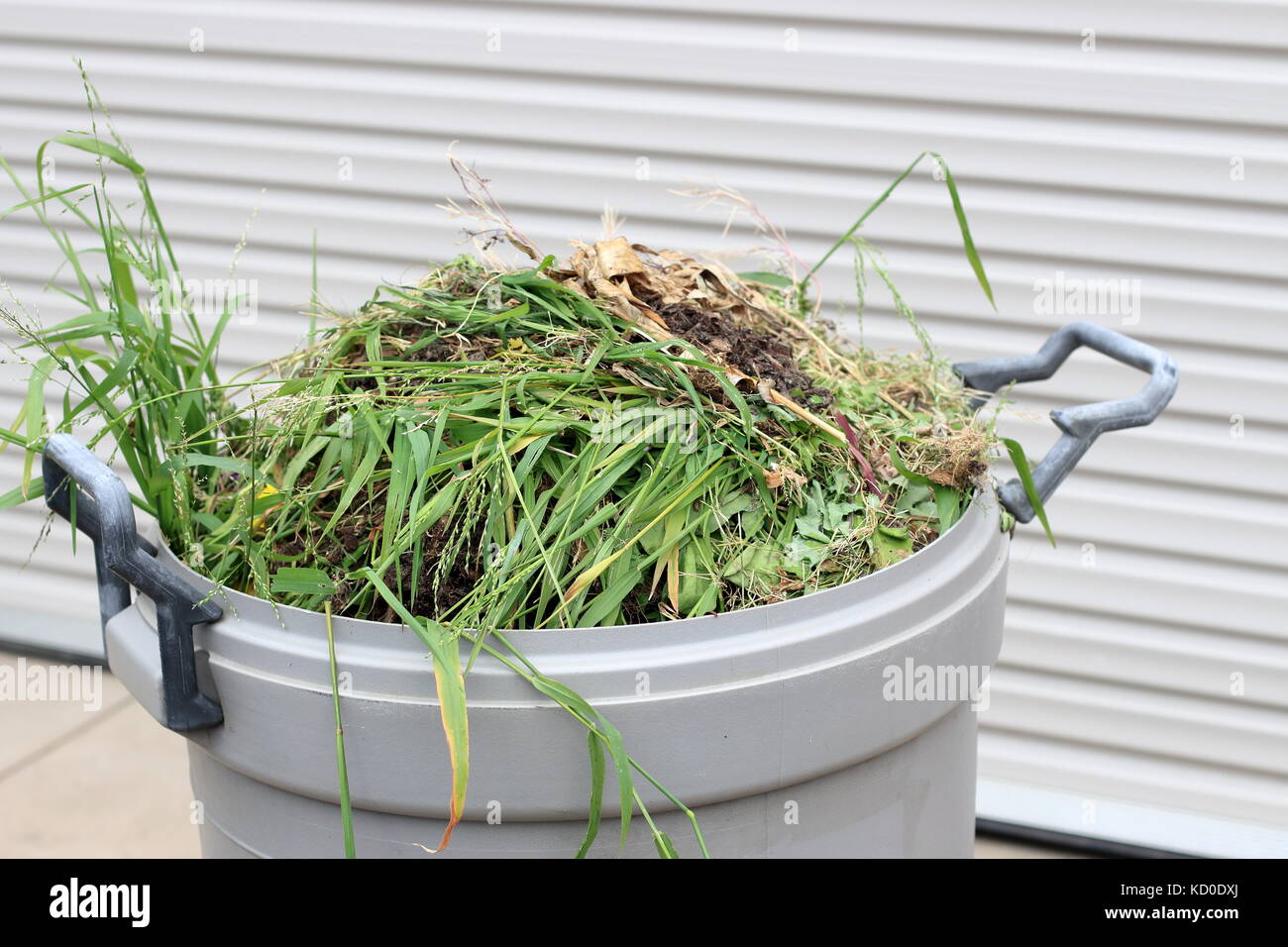 Grass clippings in rubbish bin Stock Photo