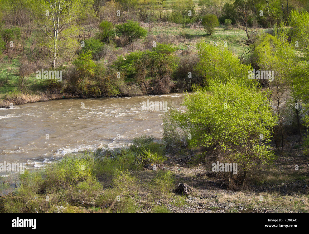 Springtime in the Caucasus region. The river Kura is a main water artery through Georgia, here in the south still running small Stock Photo