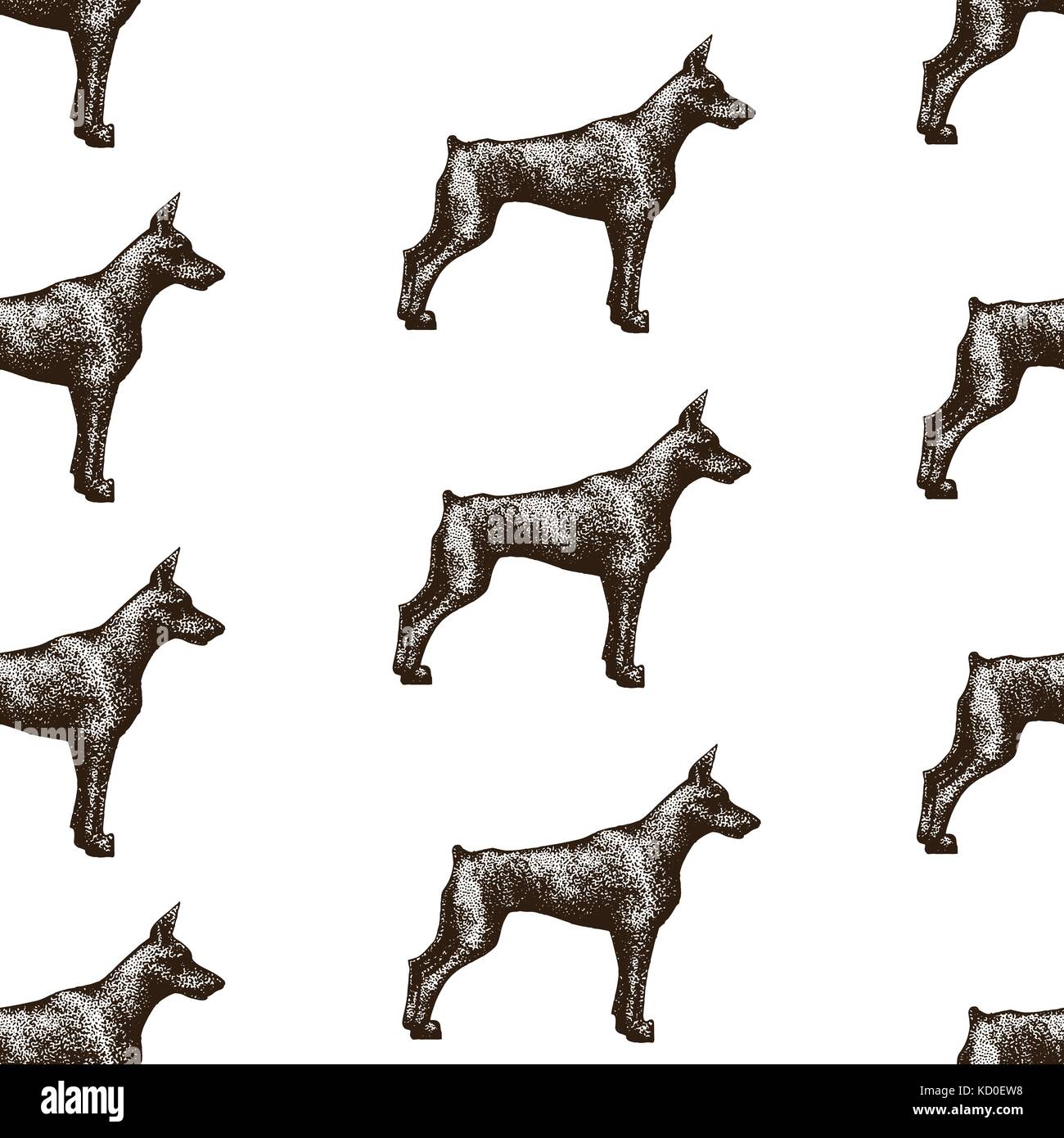 Seamless vector pattern with dogs. Vector illustration of doberman ...
