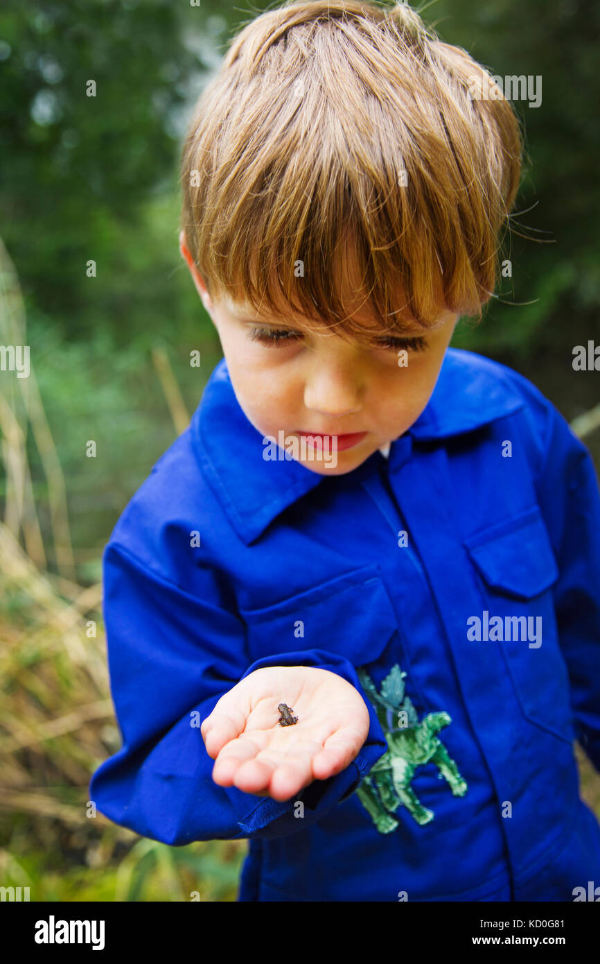 A small boy with a baby toad in his hand Stock Photo