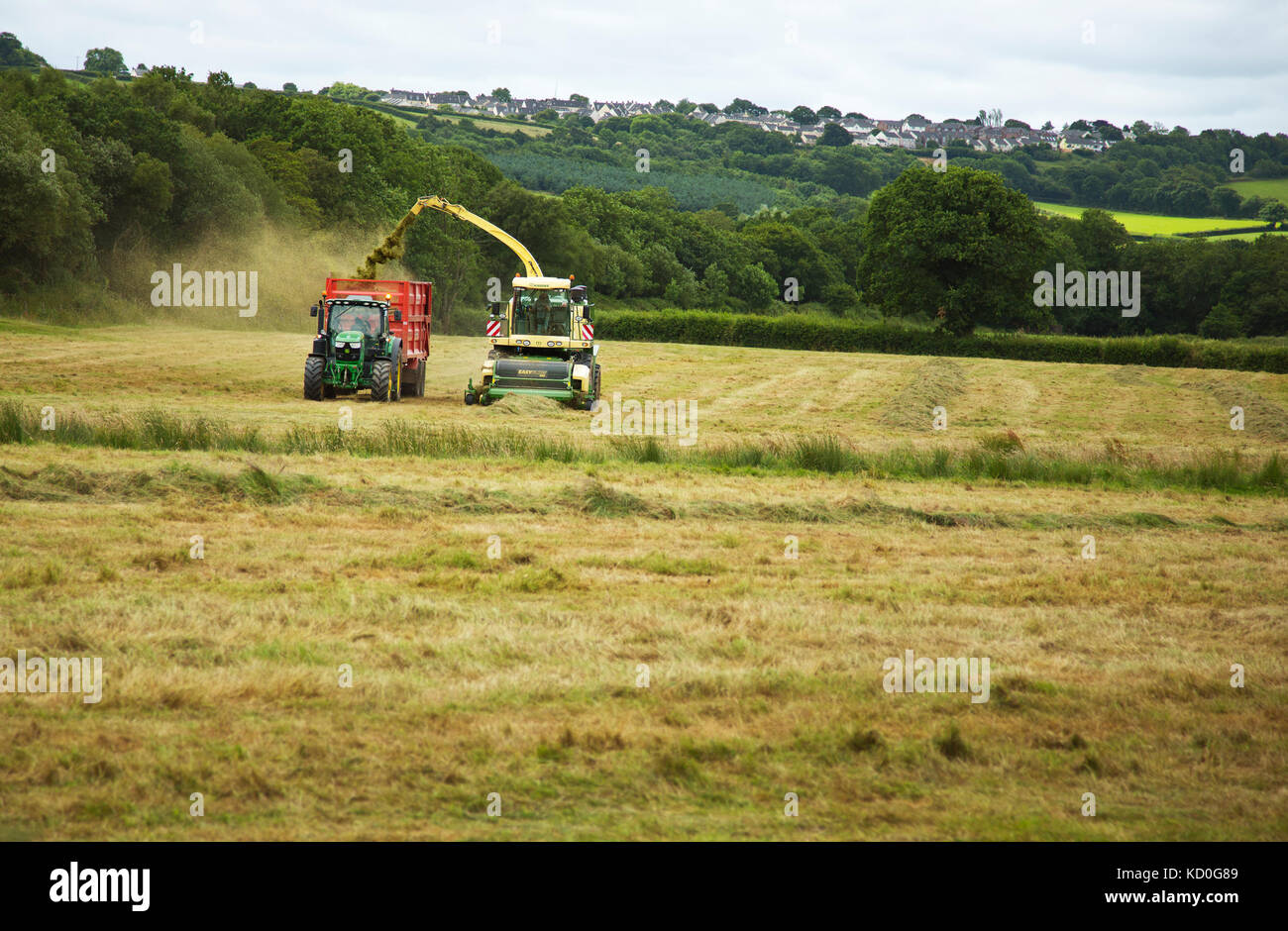 Silage making on a Cornish beef farm Stock Photo