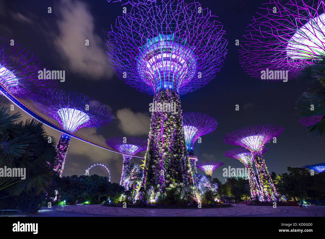 Purple Supertree Grove at night, Singapore, South East Asia Stock Photo