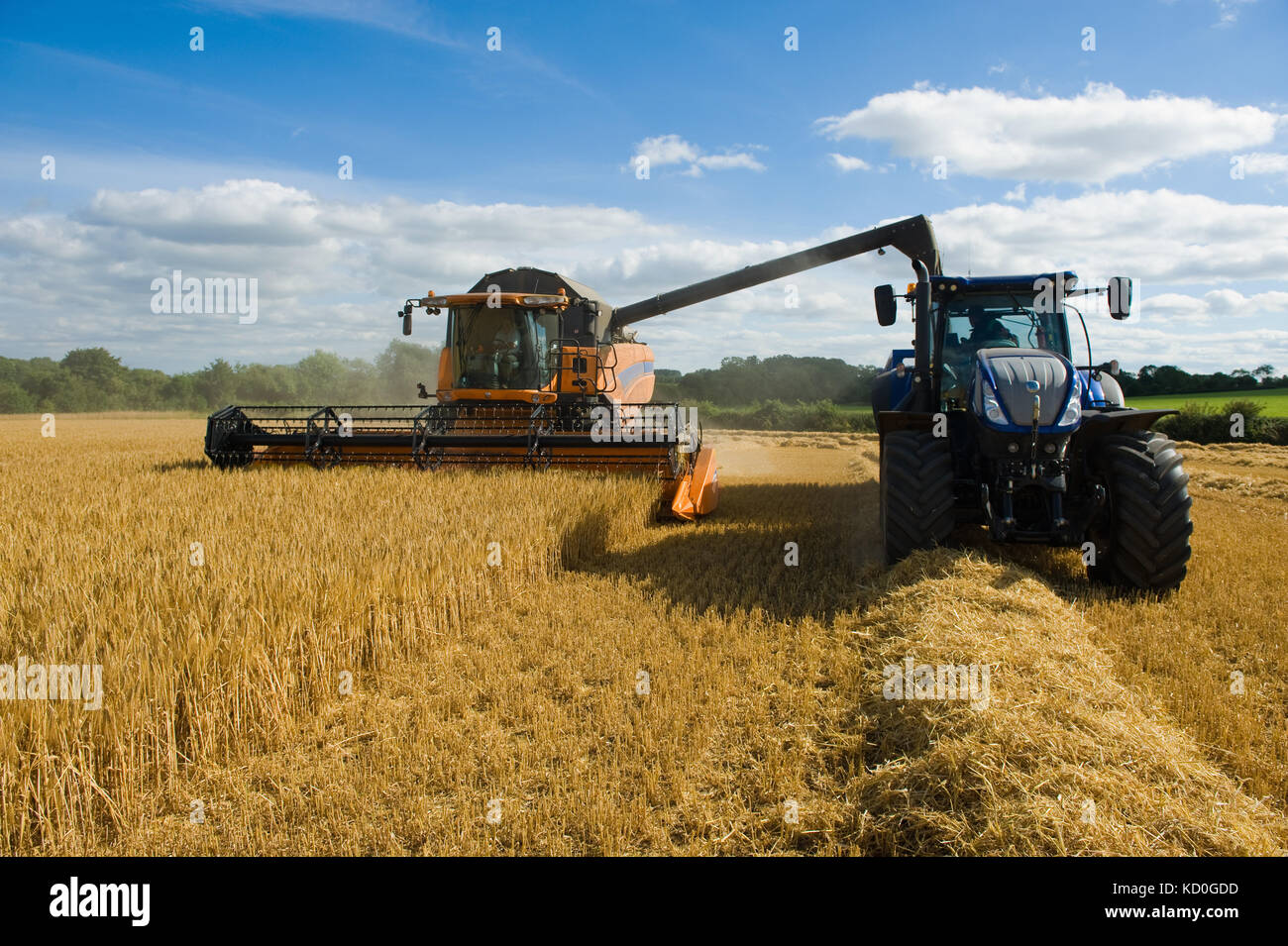 Combine harvester and tractor, harvesting wheat Stock Photo Alamy