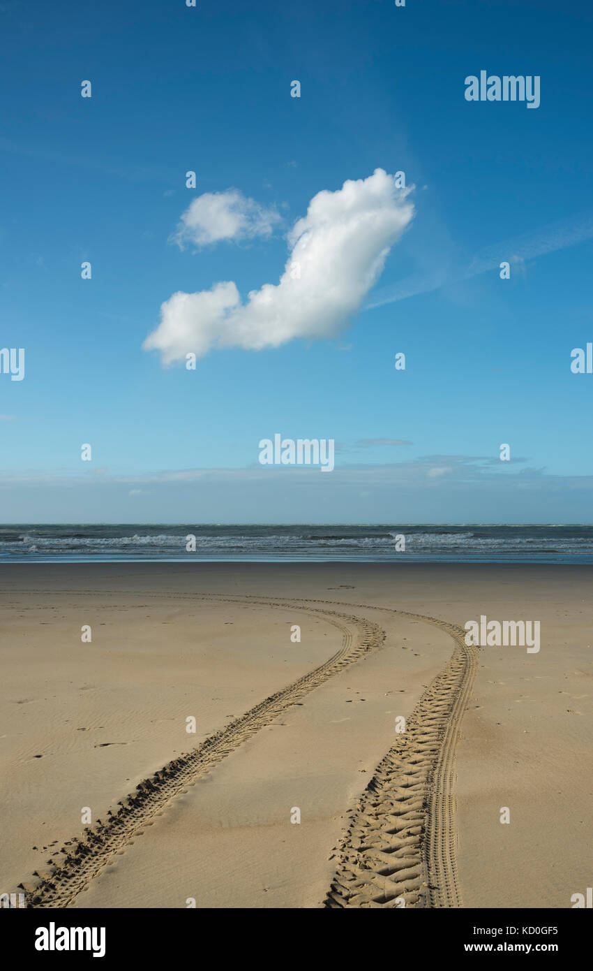 Beach at low tide with vehicle tire tracks, Gravelines, Nord-Pas-de-Calais, France Stock Photo