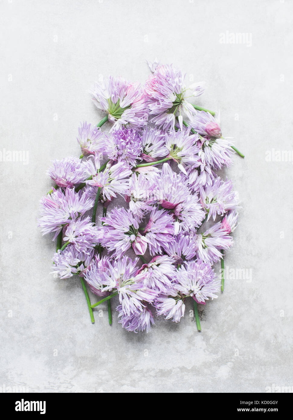 Cut chives flowers in cluster Stock Photo Alamy