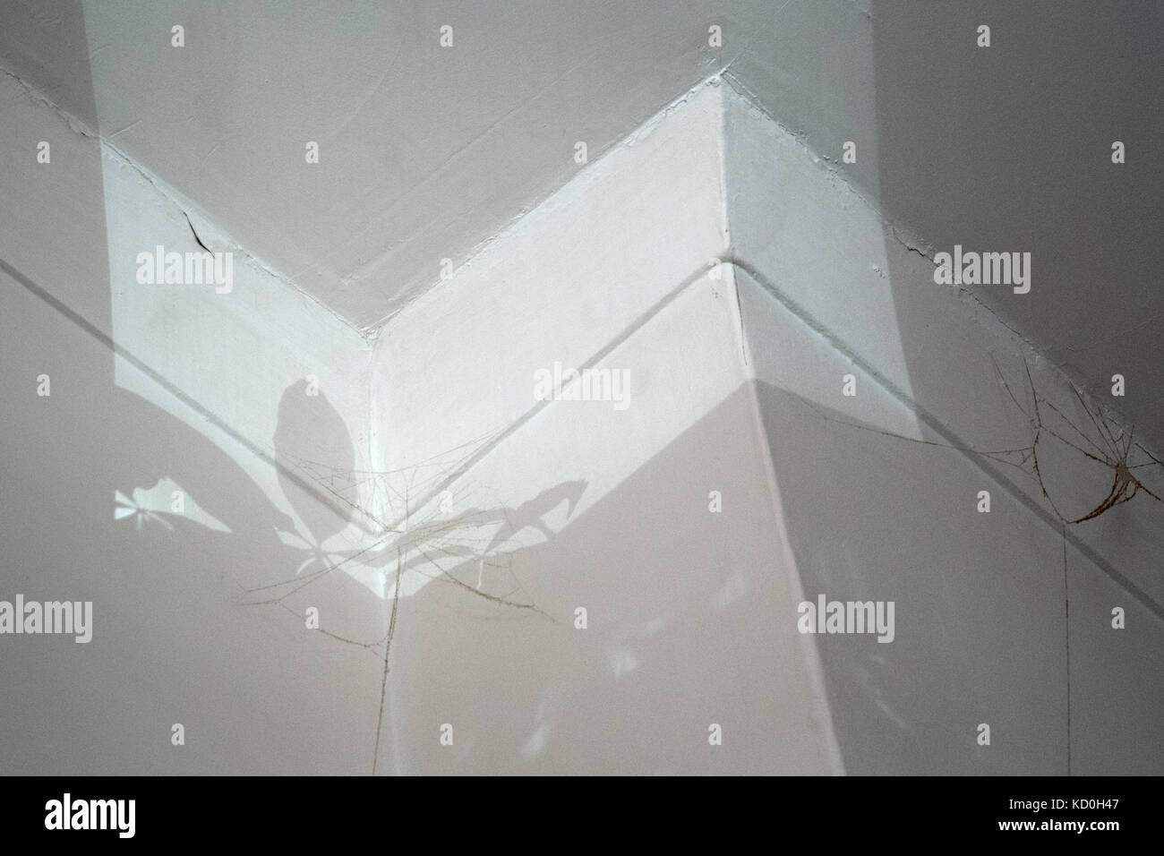 Light Falling Onto A Ceiling And Coving Showing Cobwebs In A