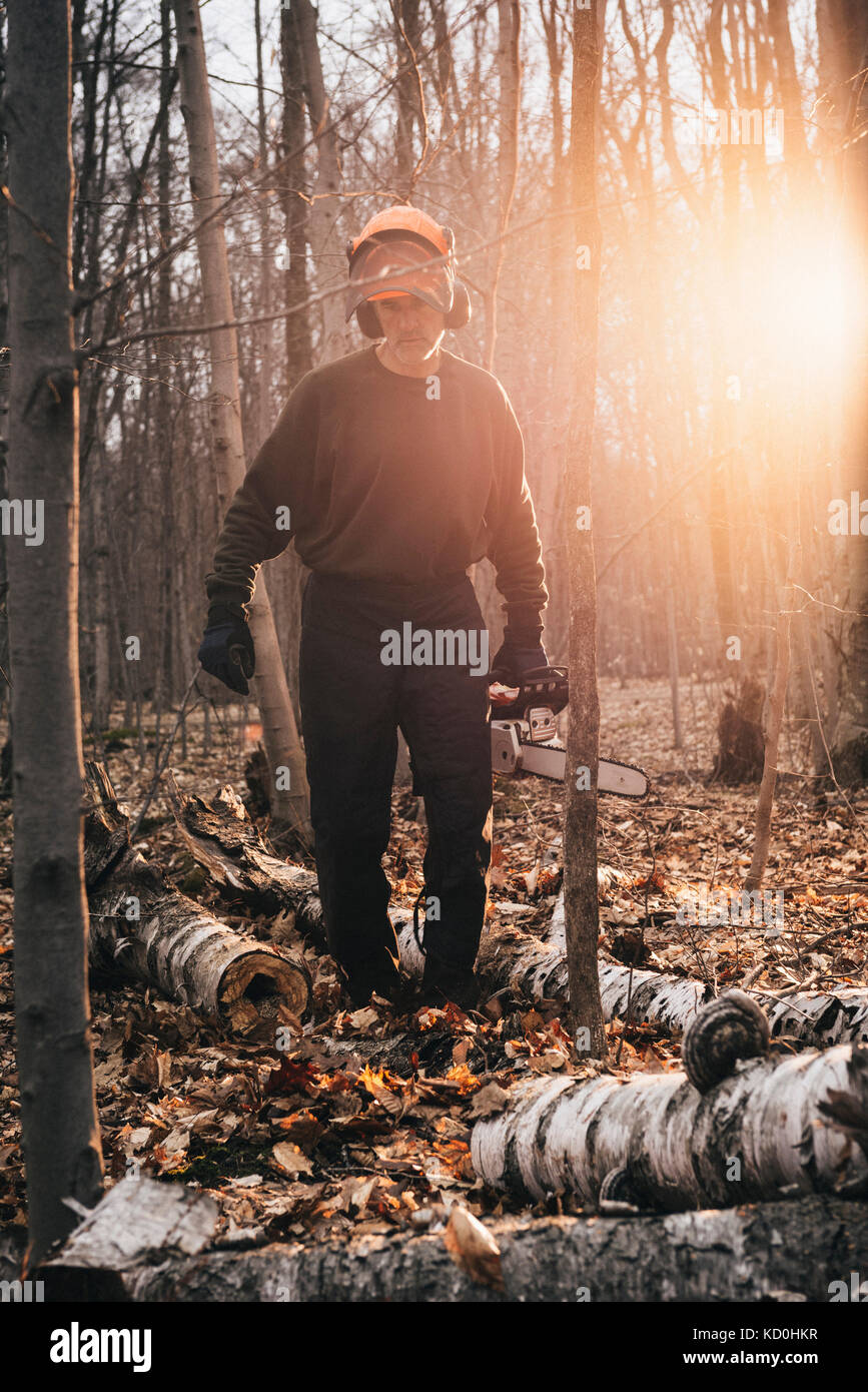 Male logger carrying chainsaw in sunlit autumn forest Stock Photo - Alamy