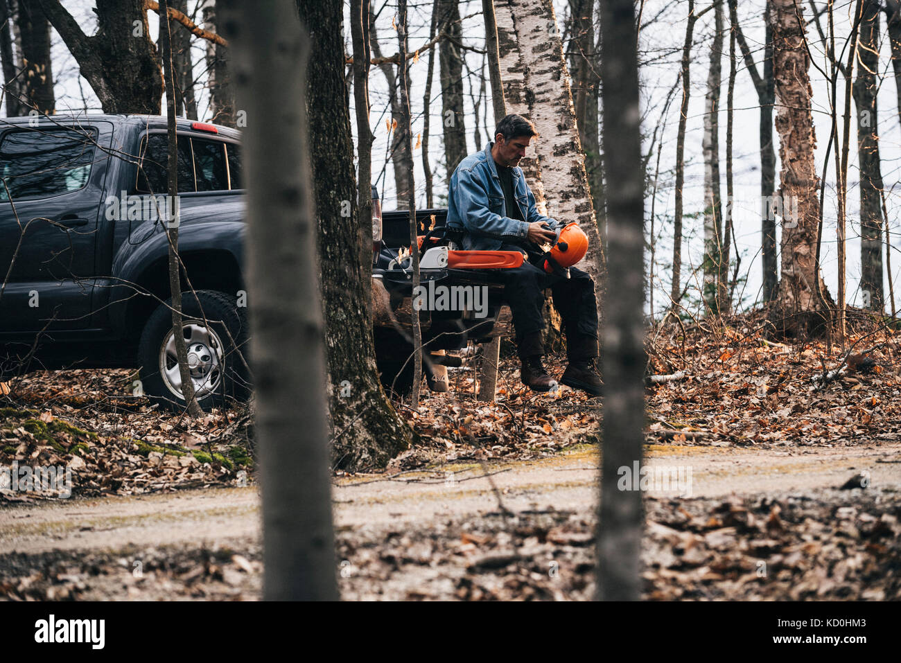 Male logger sitting on pick-up truck holding hard hat in autumn forest Stock Photo