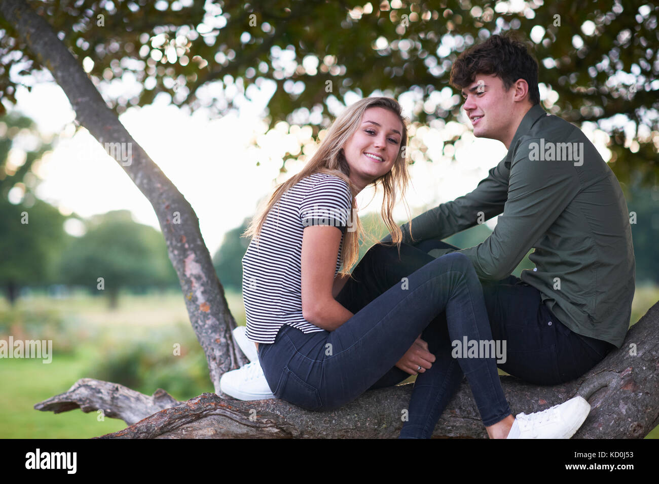 Portrait of young couple sitting on tree branch in field Stock Photo