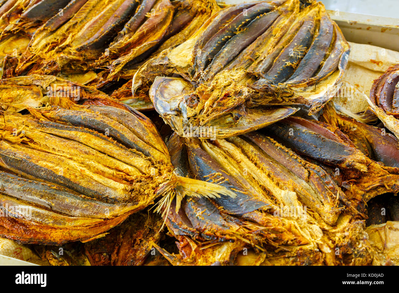Skipjack Tuna Katsuwonus Pelamis High Resolution Stock Photography and