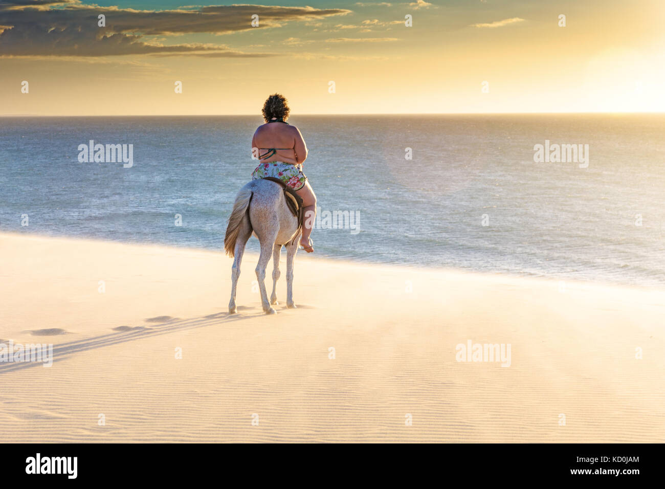 Woman riding horse on beach, rear view, Jericoacoara, Ceara, Brazil, South America Stock Photo