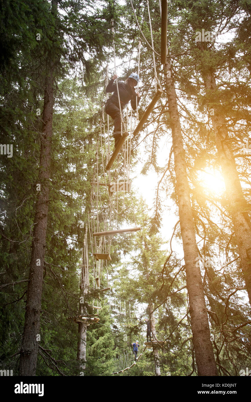 Girl On High Ropes Teenage girl on high rope course Stock Photo - Alamy