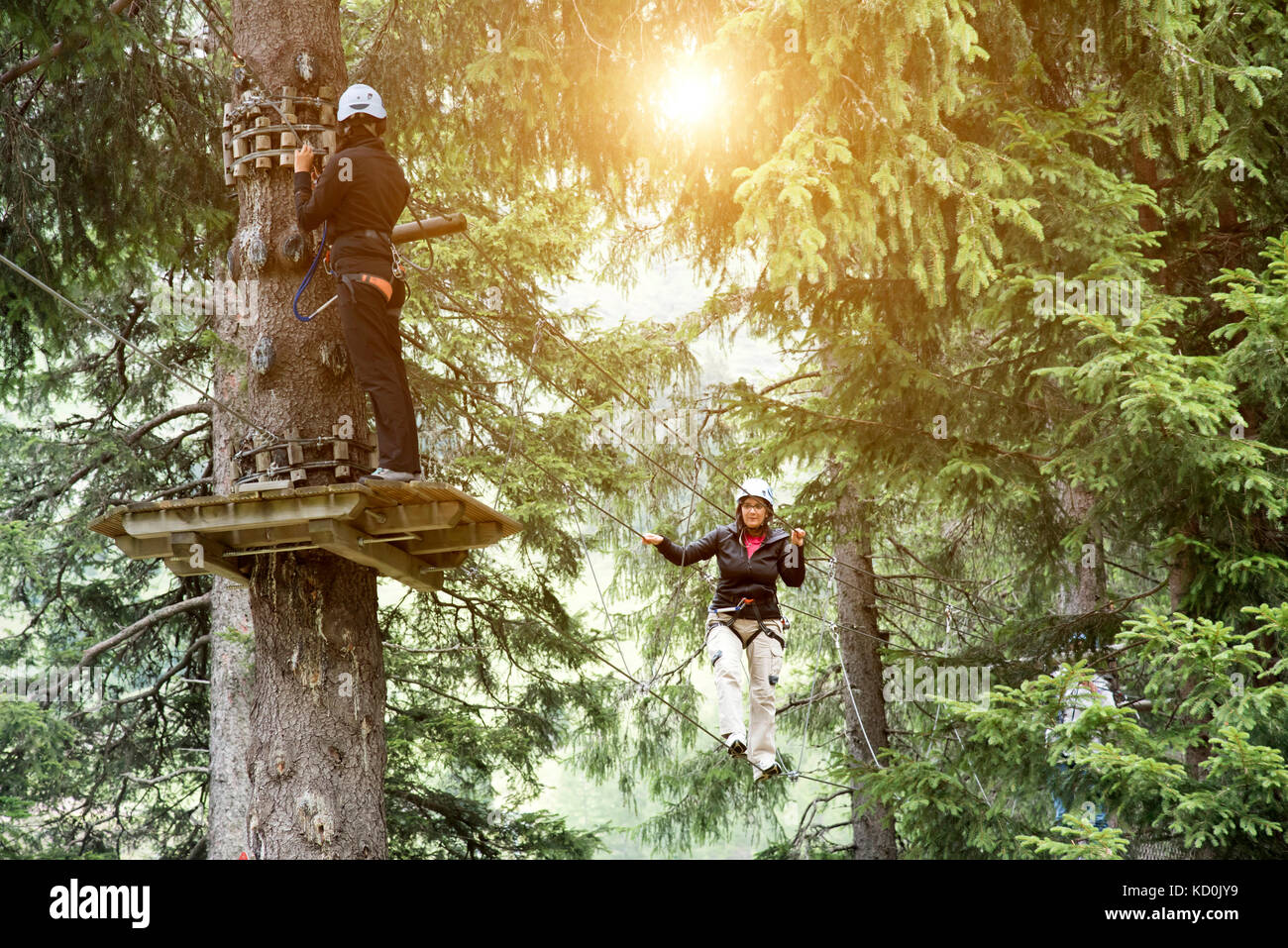 Friends in forest using high rope course Stock Photo Alamy