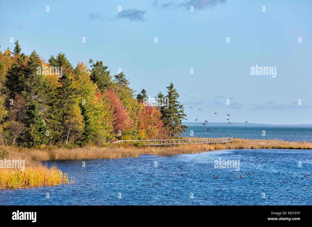 Spence Cove, Botsford, Westmorland County, New Brunswick, Canada Stock Photo