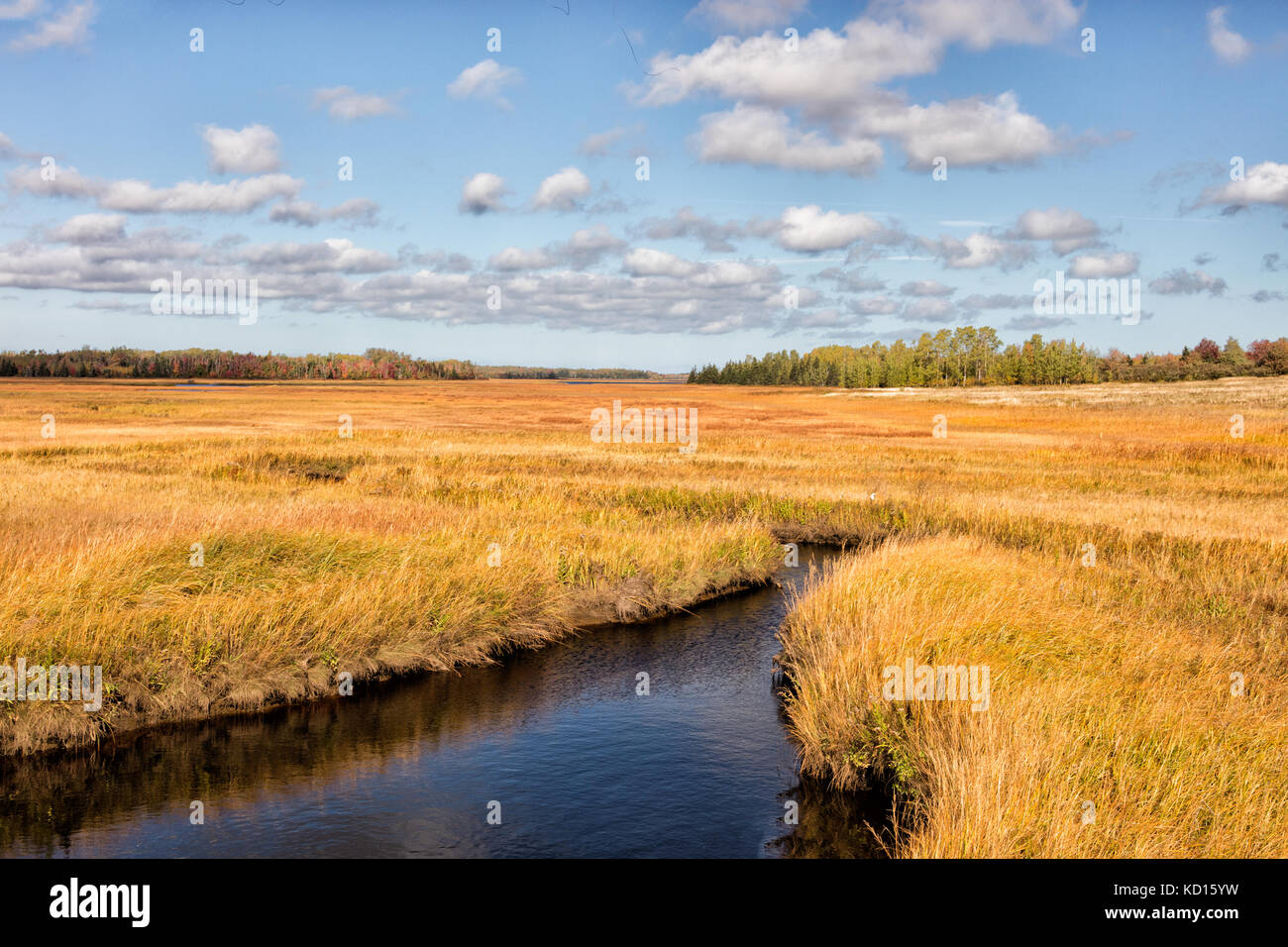 Fox Creek, Botsford, Westmorland County, New Brunswick, Canada Stock