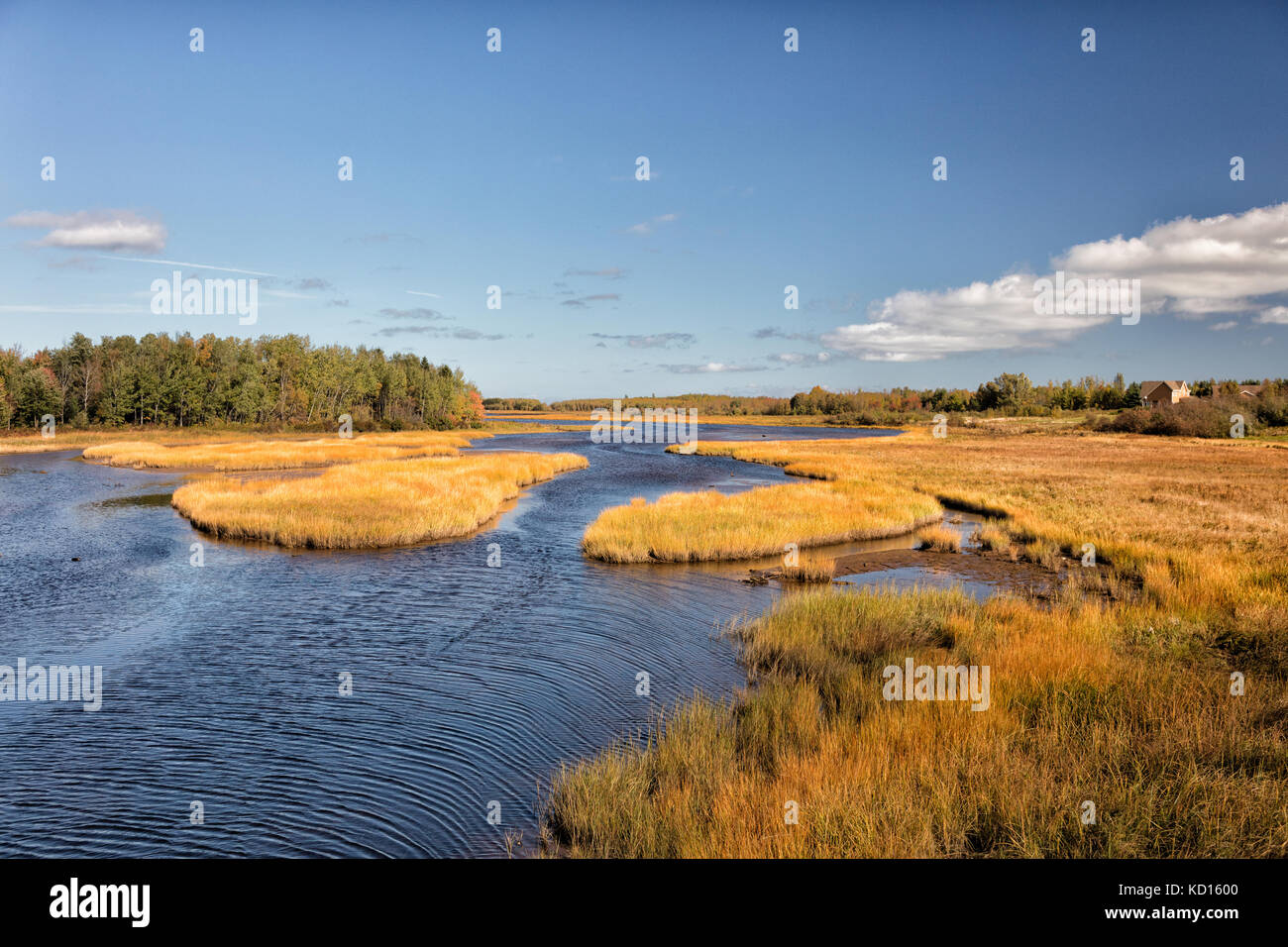 Marsh, Cap-Pele, New Brunswick, Canada Stock Photo