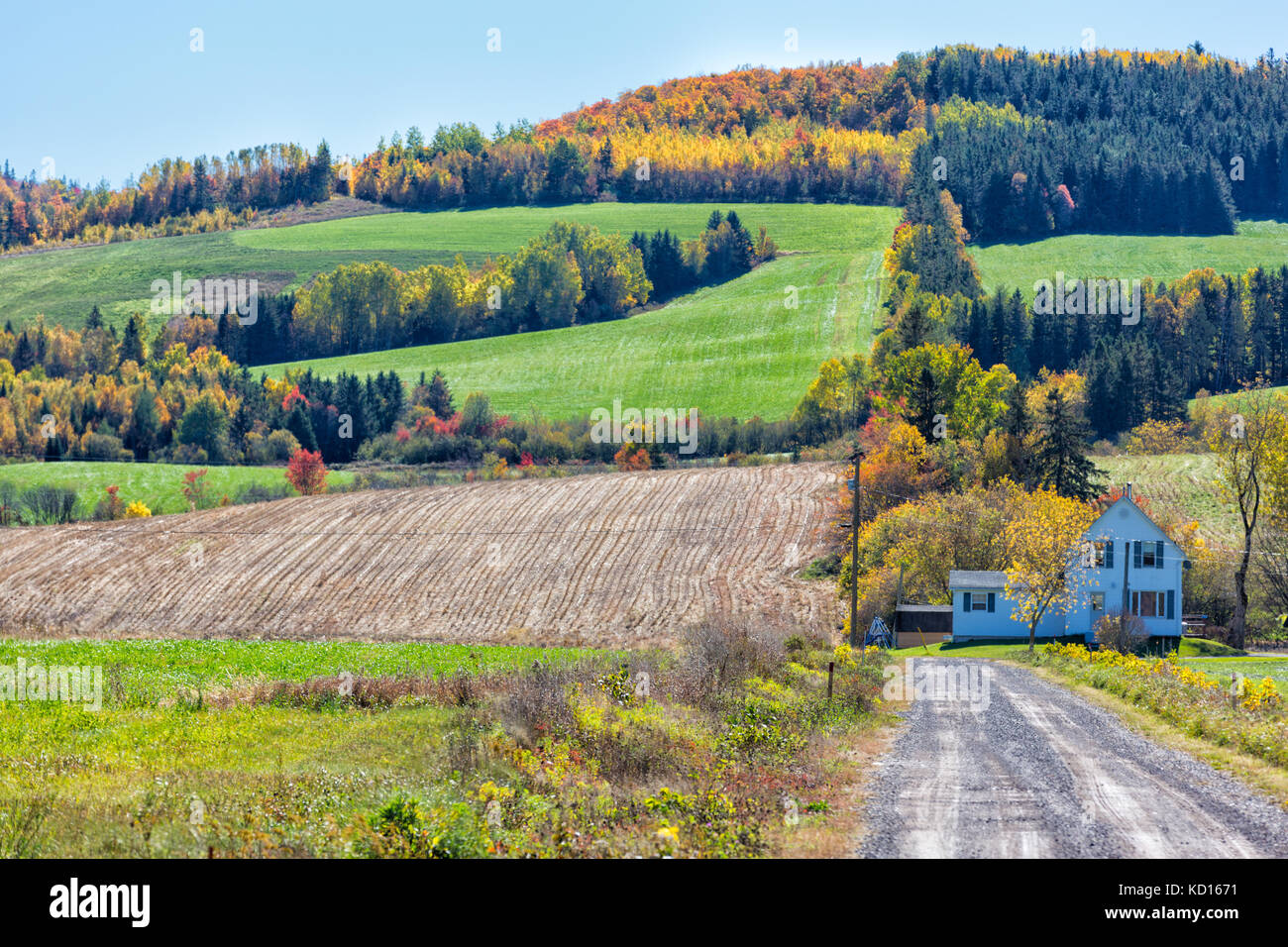 Farm, Waterford Road, Sussex, New Brunswick, Canada Stock Photo Alamy