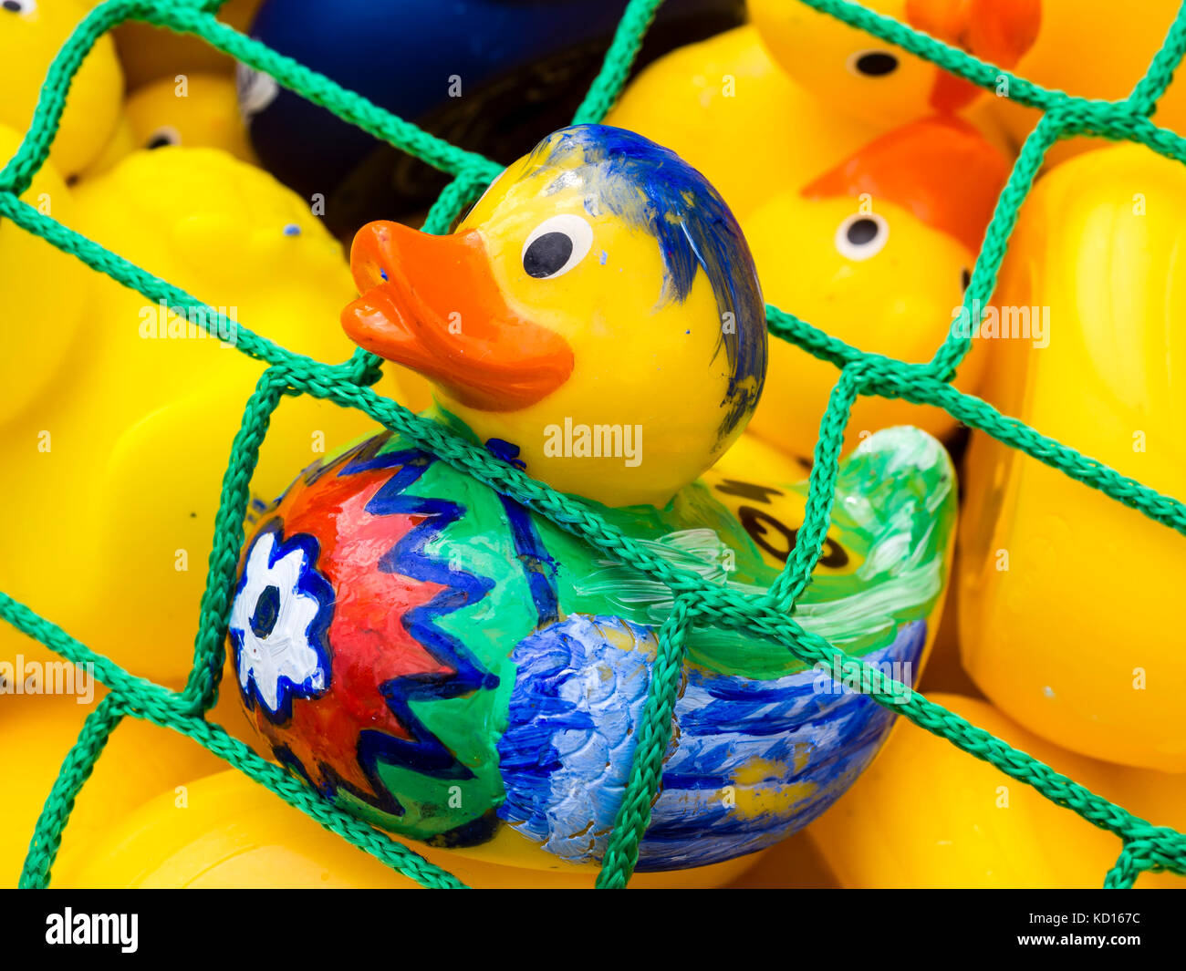 'Race' of plastic ducks on river Aller, charity event , Celle, Germany Stock Photo