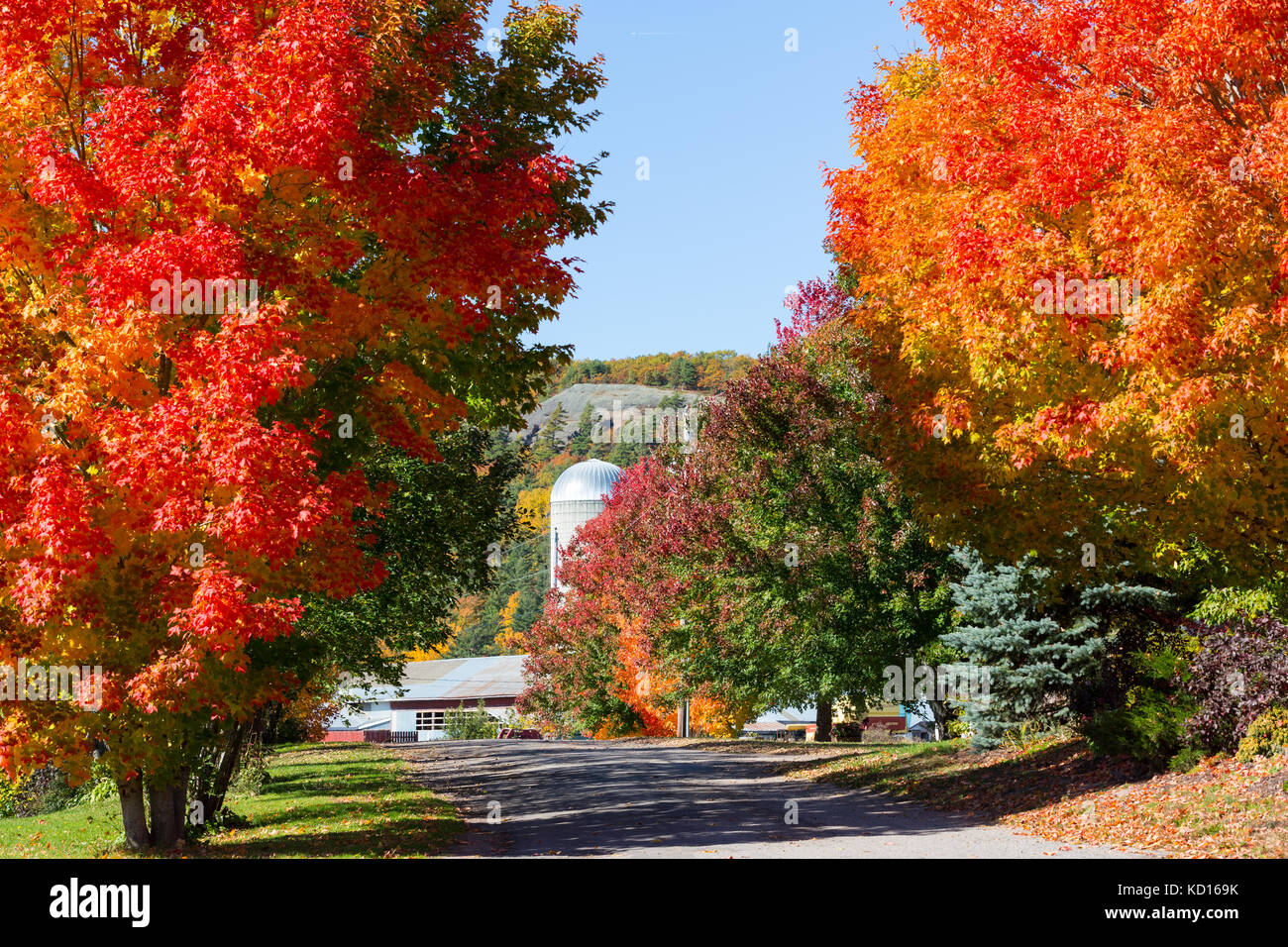 Farm, Dutch Valley, New Brunswick, Canada Stock Photo Alamy