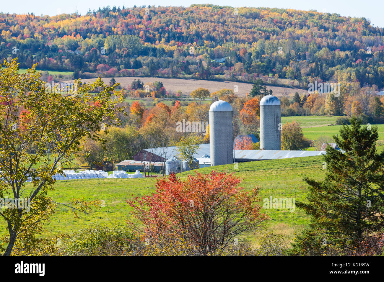 Farm, Dutch Valley, New Brunswick, Canada Stock Photo