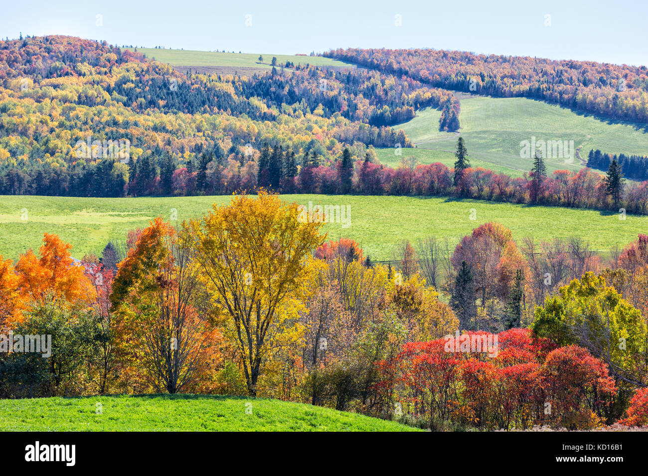 Fall foliage, Dutch Valley, New Brunswick, Canada Stock Photo