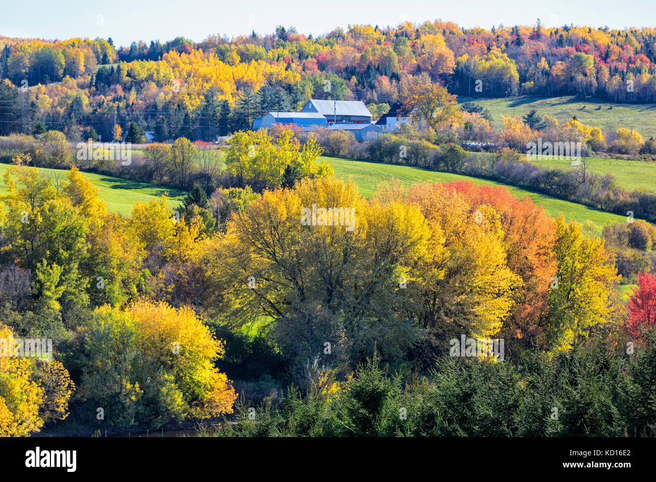 Fall colors, Norton, New Brunswick, Canada Stock Photo