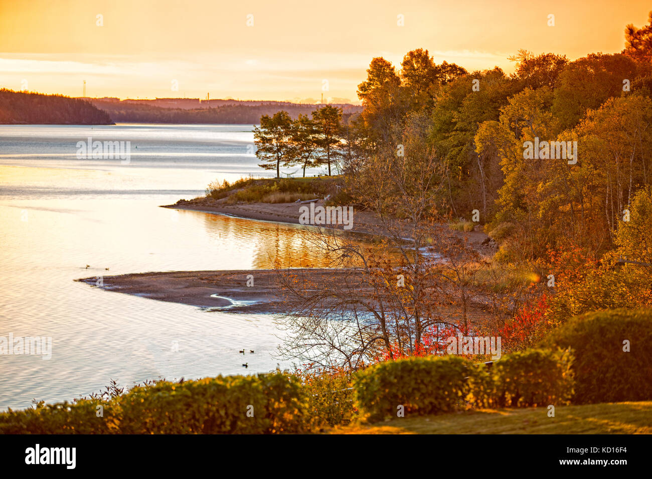 Fall colors along the Saint John River, Grand Bay-Westfield, New Brunswick, Canada Stock Photo