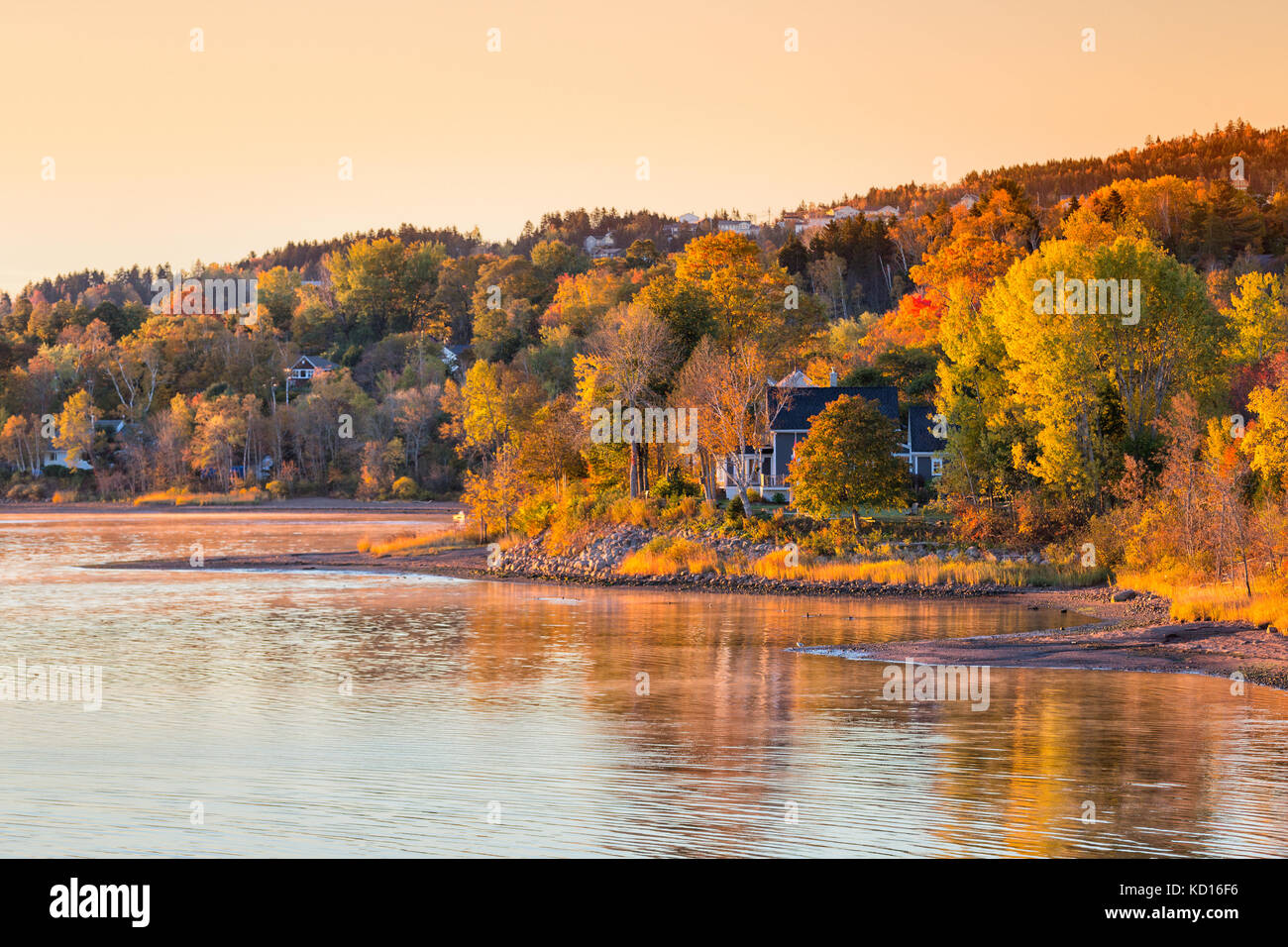 Fall colors along the Saint John River, Grand Bay-Westfield, New Brunswick, Canada Stock Photo