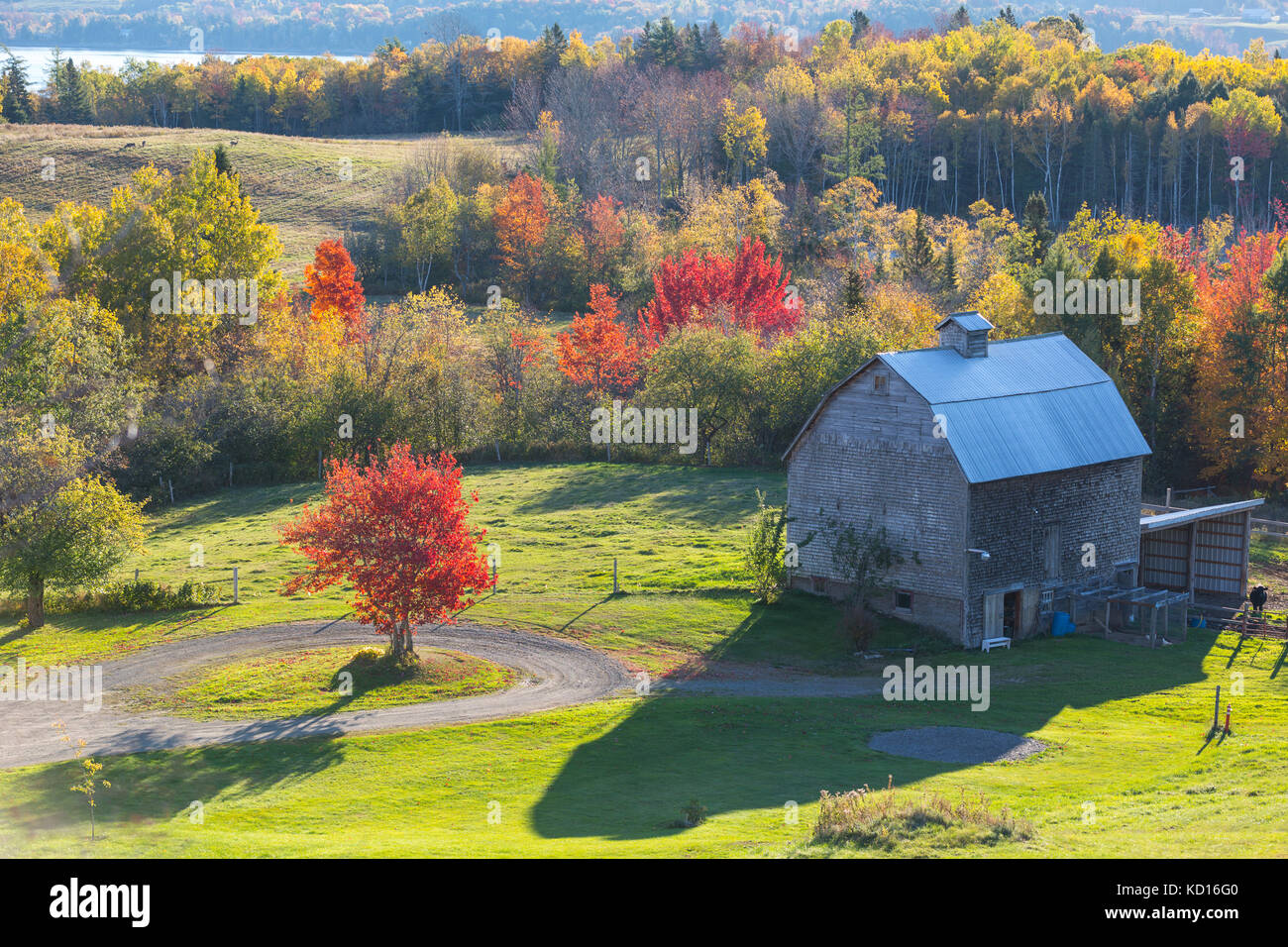 Barn, Greenwich, Kings County, New Brunswick, Canada Stock Photo