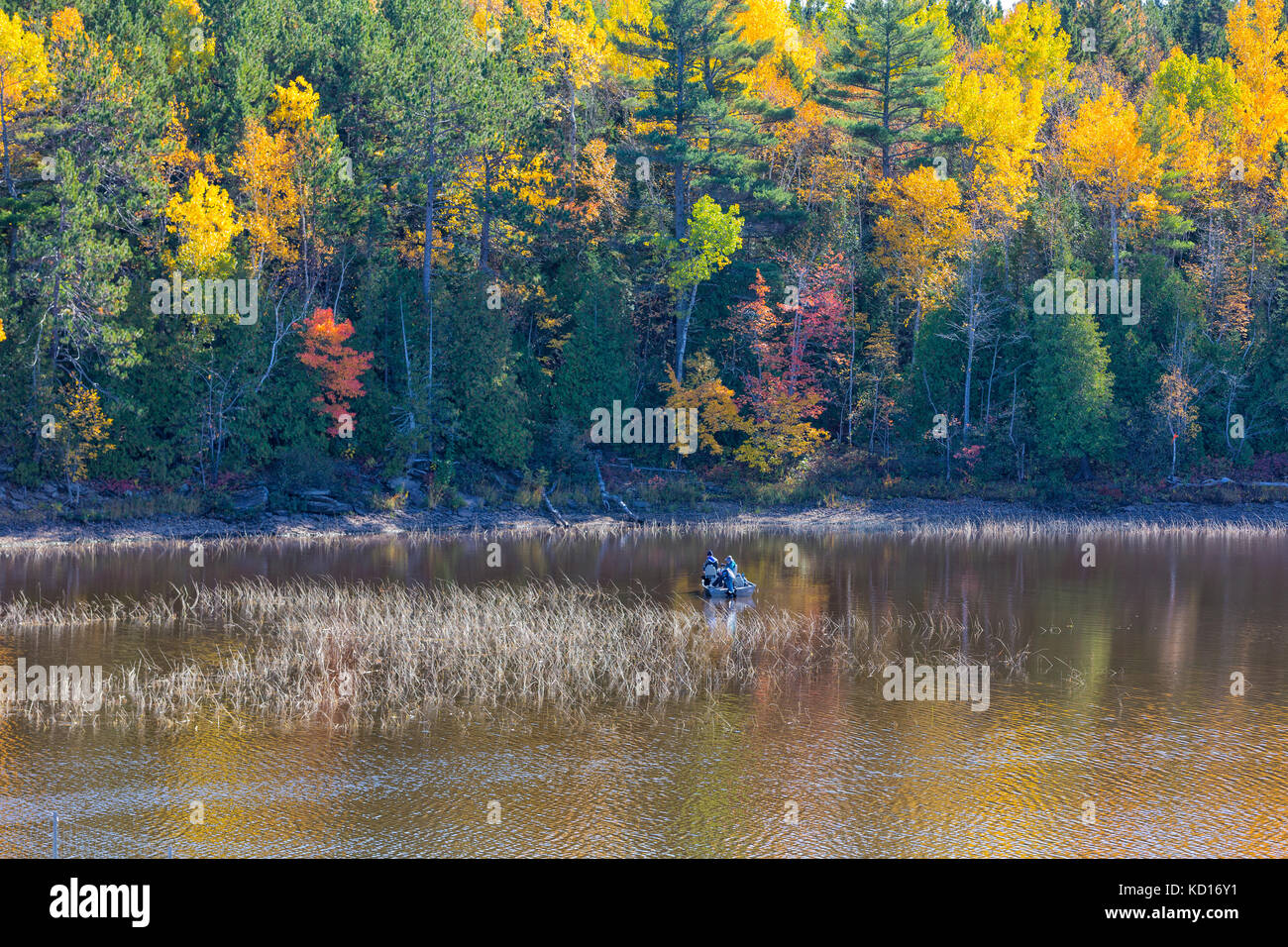 Bass fishing, Oromocto, New Brunswick, Canada Stock Photo Alamy