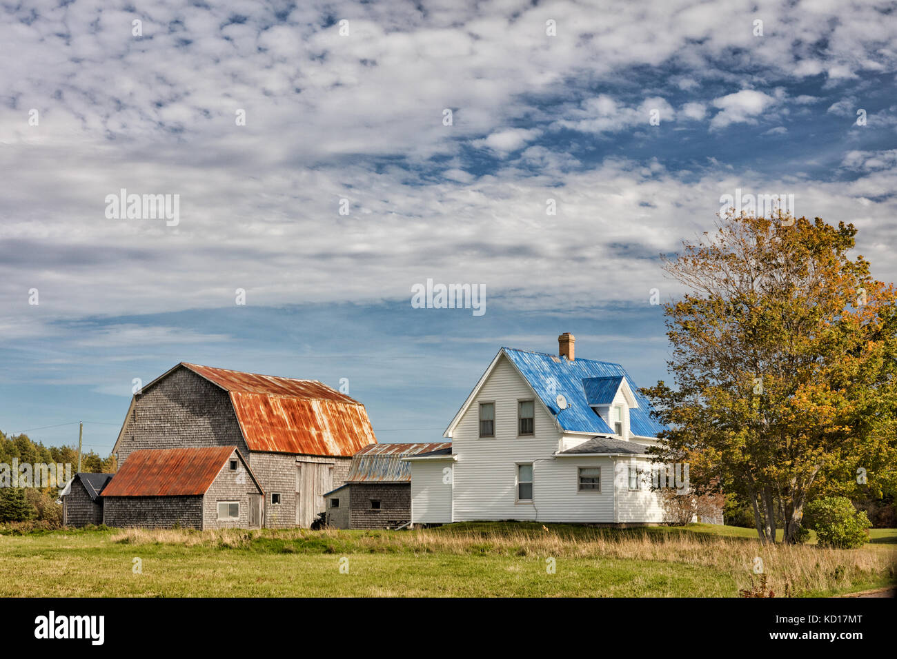 Farm, Botsford, Westmorland County, New Brunswick, Canada Stock Photo