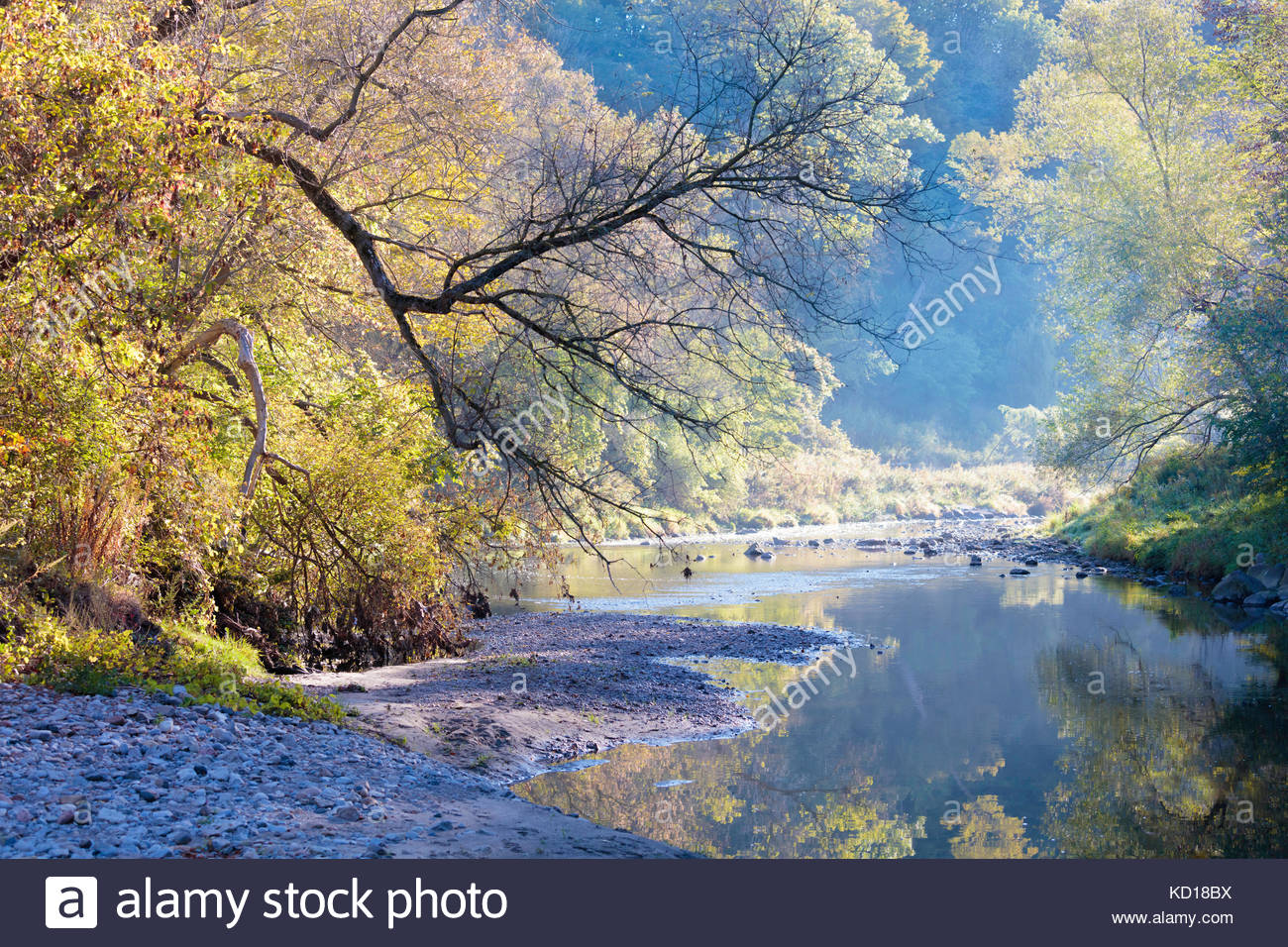 Early Autumn Carolinian Forest Reflection In Valley Of Highland