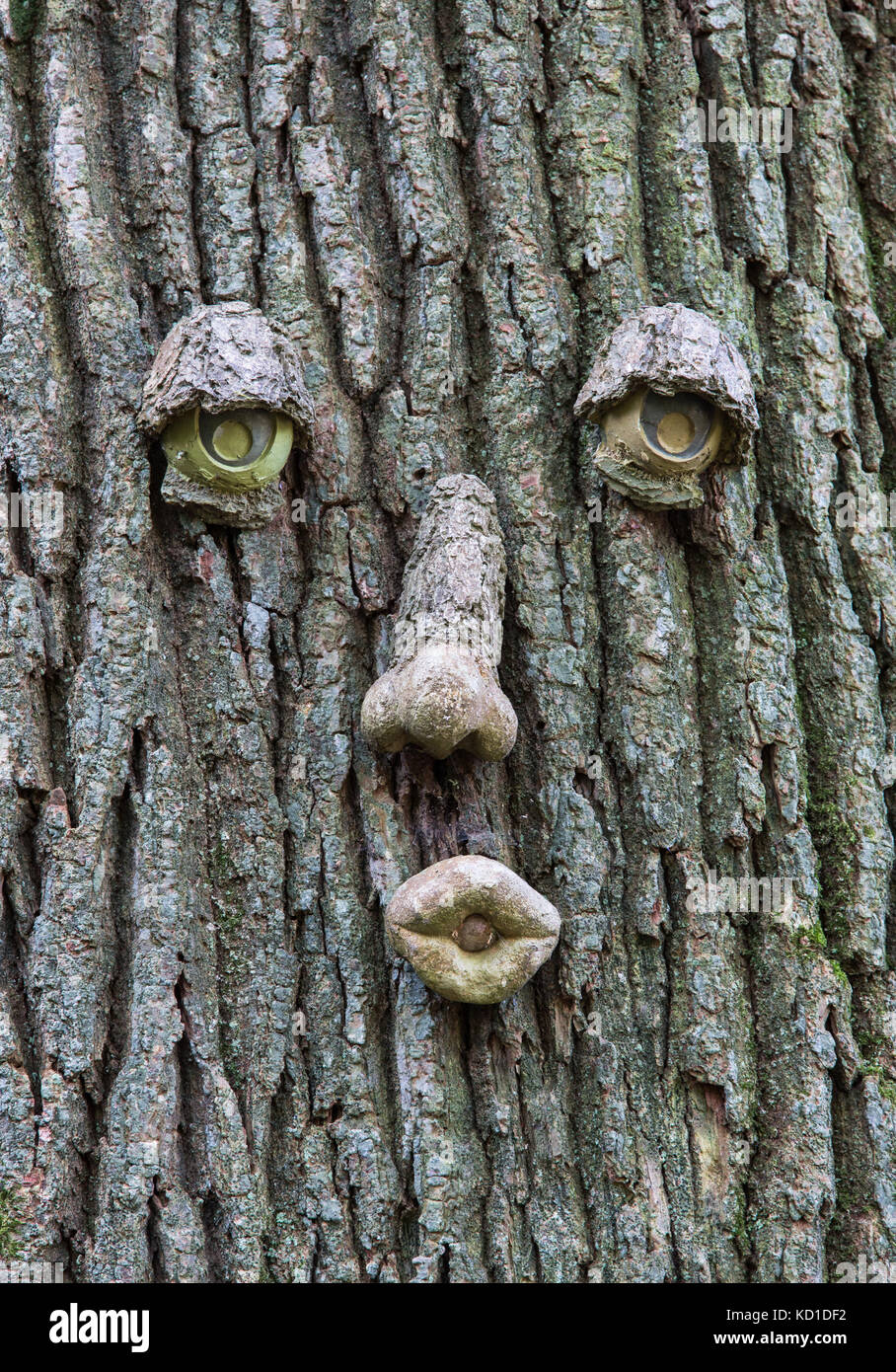 Tree scupture of face Stock Photo
