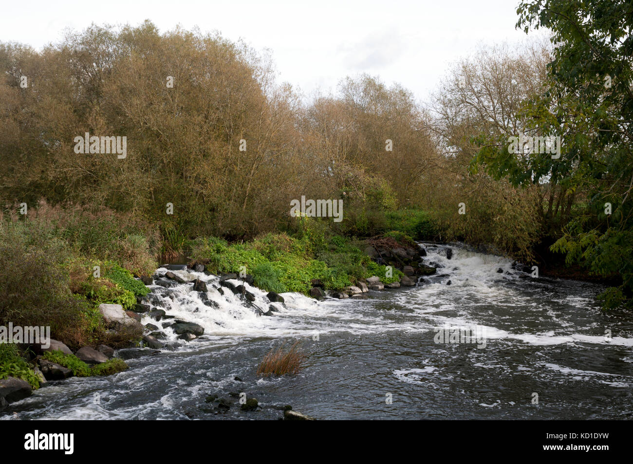 River Avon weir, Luddington, Warwickshire, England, UK Stock Photo