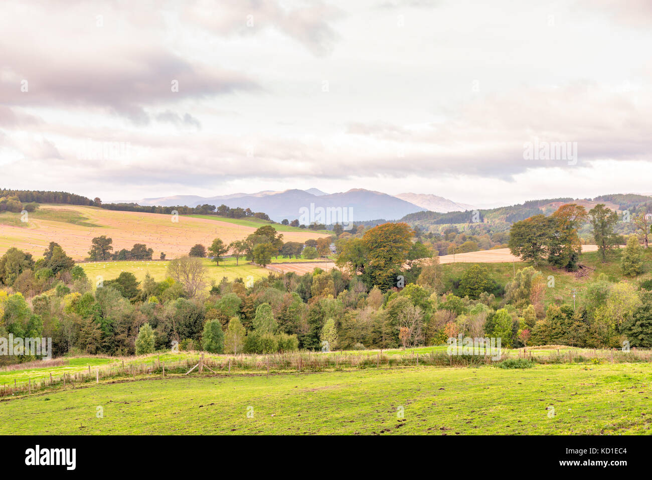 Fields Forrest & Hillside over Crieff in Scotland, with the misty mountains of Ben Chonzie in the distance during autumn. Stock Photo