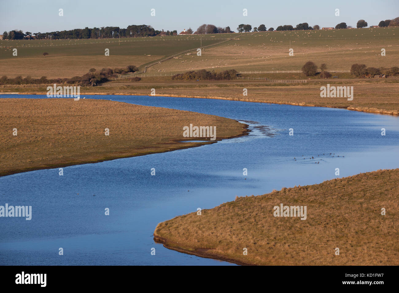 Cuckmere Estuary, Cuckmere Haven, area of flood plains in East Sussex, nature reserve overlooking the Seven Sisters Cliffs and river mouth, England UK Stock Photo