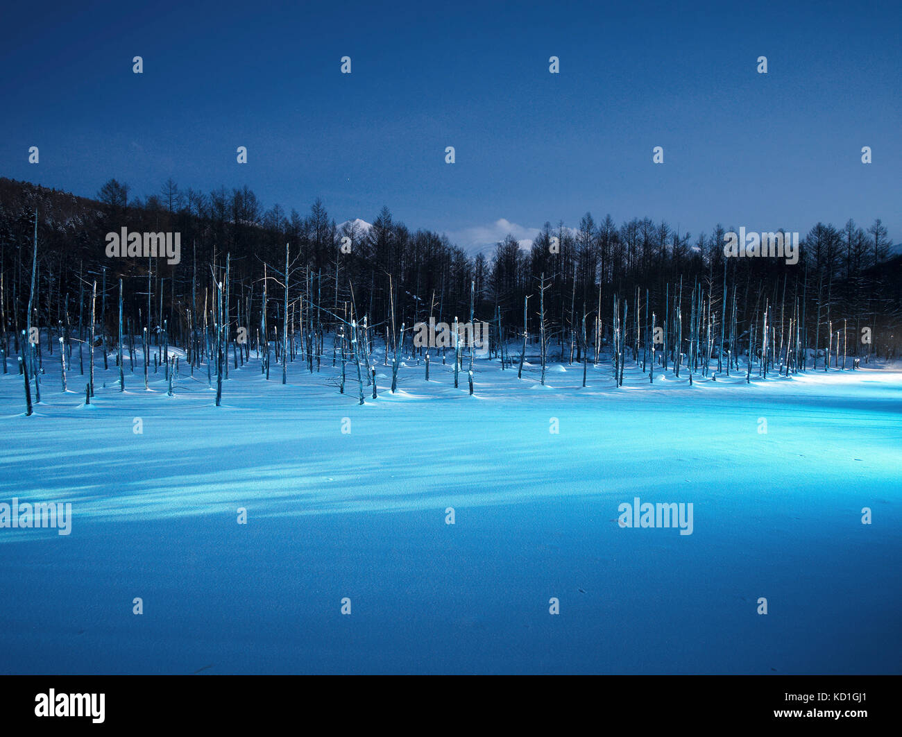 Night time illumination at Blue Pond (Aoiike) at Kamikawa District, Biei, Hokkaido, Japan, during winter Stock Photo