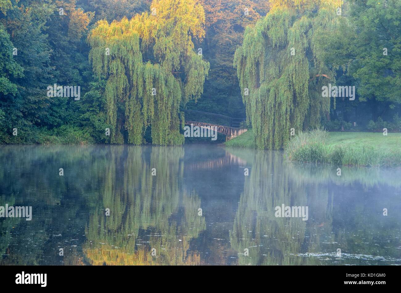 Summer morning in the park. Pond and bridge in the castle park in Pszczyna, Poland. Stock Photo