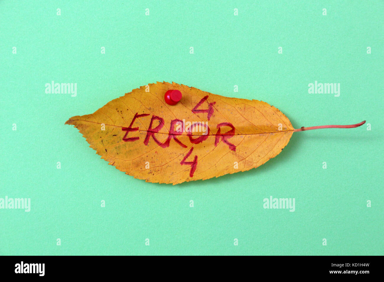 picture of a autumn walnut leaves with handwritten text error 404 Stock Photo