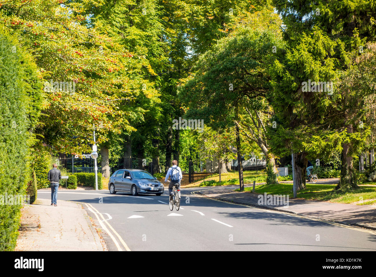 Storey's Way, tree lines street in Cambridge, UK with cyclist and car Stock Photo