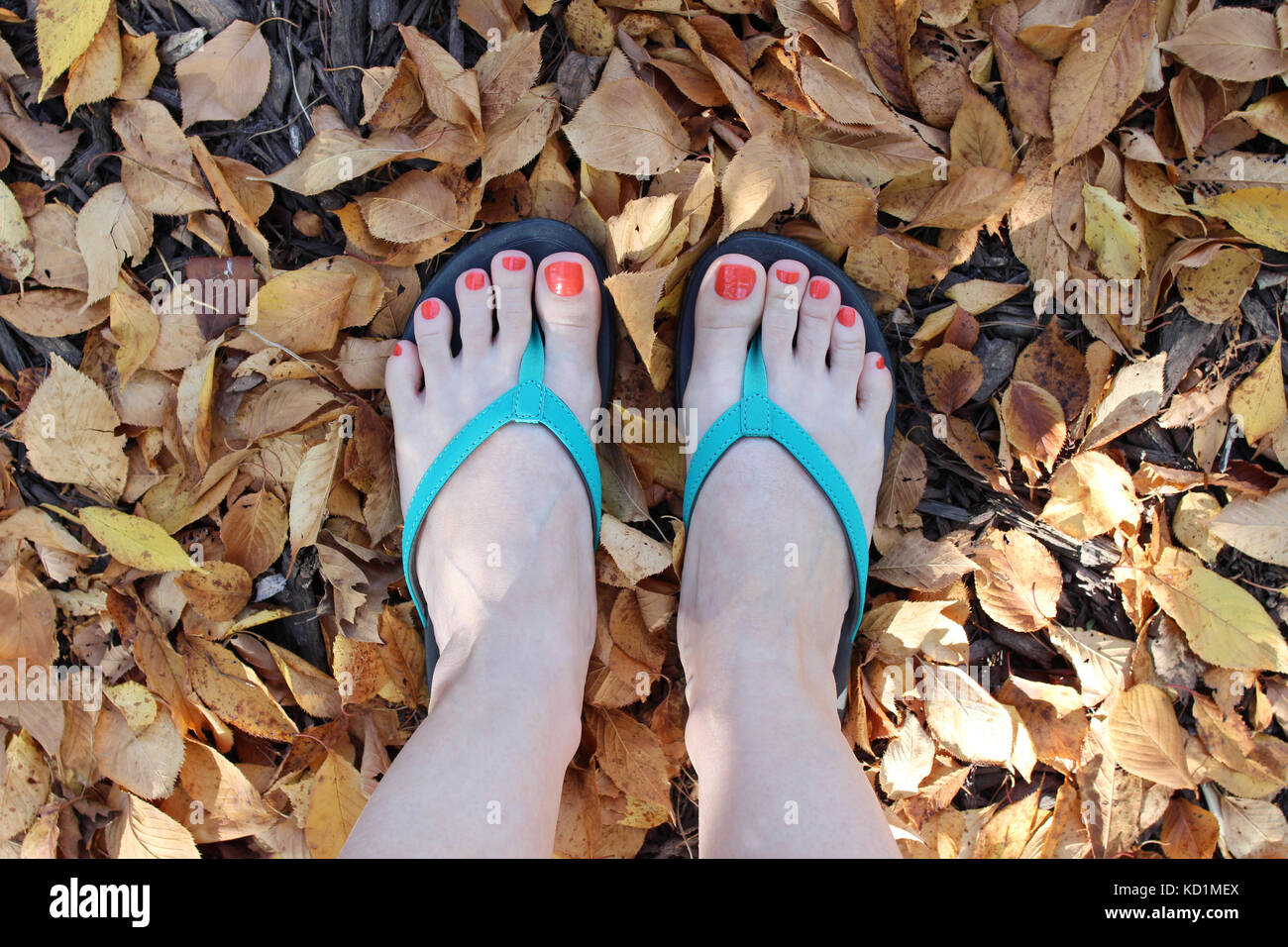 Woman Wearing Flip Flops Stock Photo, Picture and Royalty Free Image. Image  94928697.