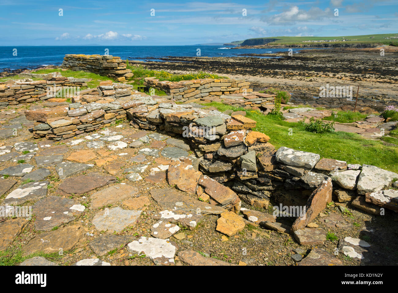 Remains of Celtic and Viking settlements on the Brough of Birsay, Orkney, Scotland, UK. Stock Photo