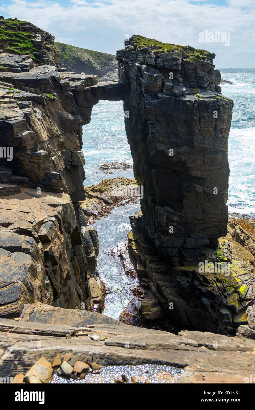 The Castle of Qui Ayre sea stack, tenuously attached to the cliff by a single slab of rock. Yesnaby, Orkney Mainland, Scotland, UK. Stock Photo
