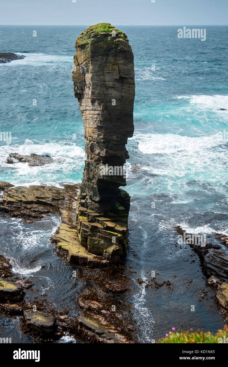 The Yesnaby Castle sea stack, Yesnaby, Orkney Mainland, Scotland, UK. Stock Photo