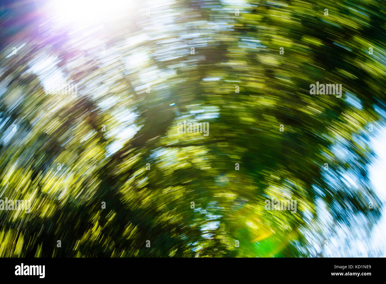 Spinning concept lookup up in forest at blurred trees Stock Photo