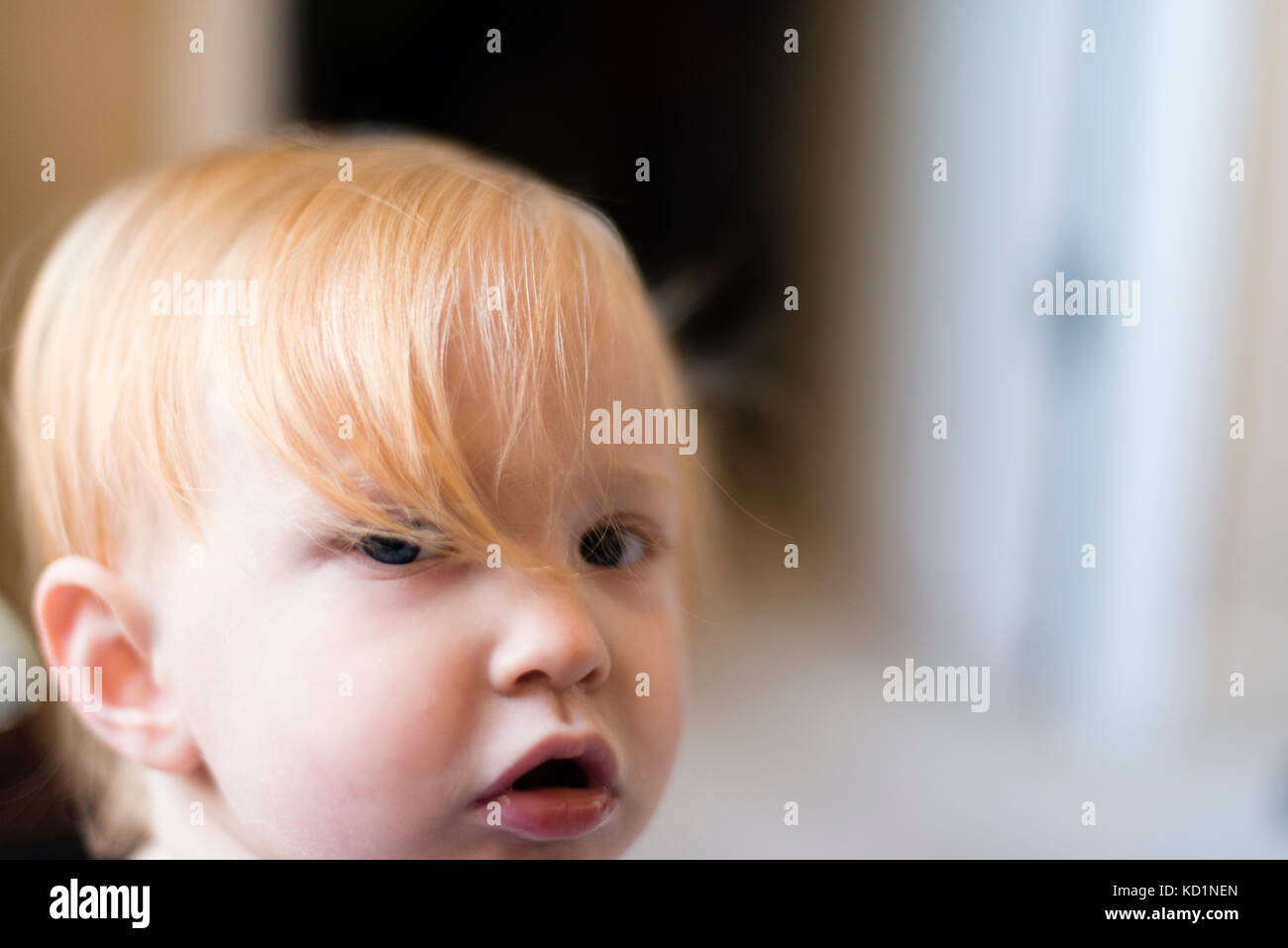 One-year-old girl with blonde hair looking at camera Stock Photo