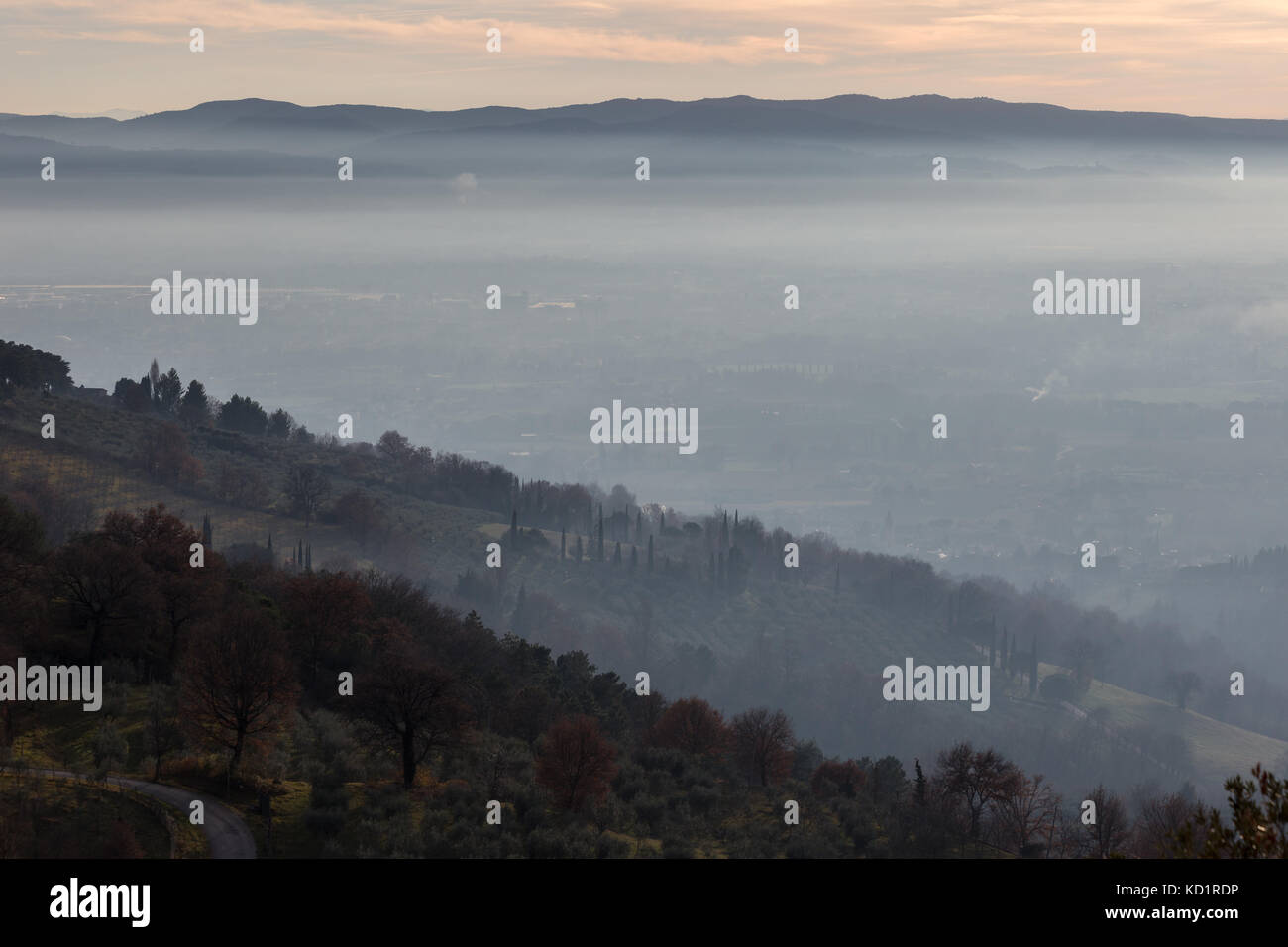 A valley filled by mist at sunset, with hills and trees in the foreground Stock Photo