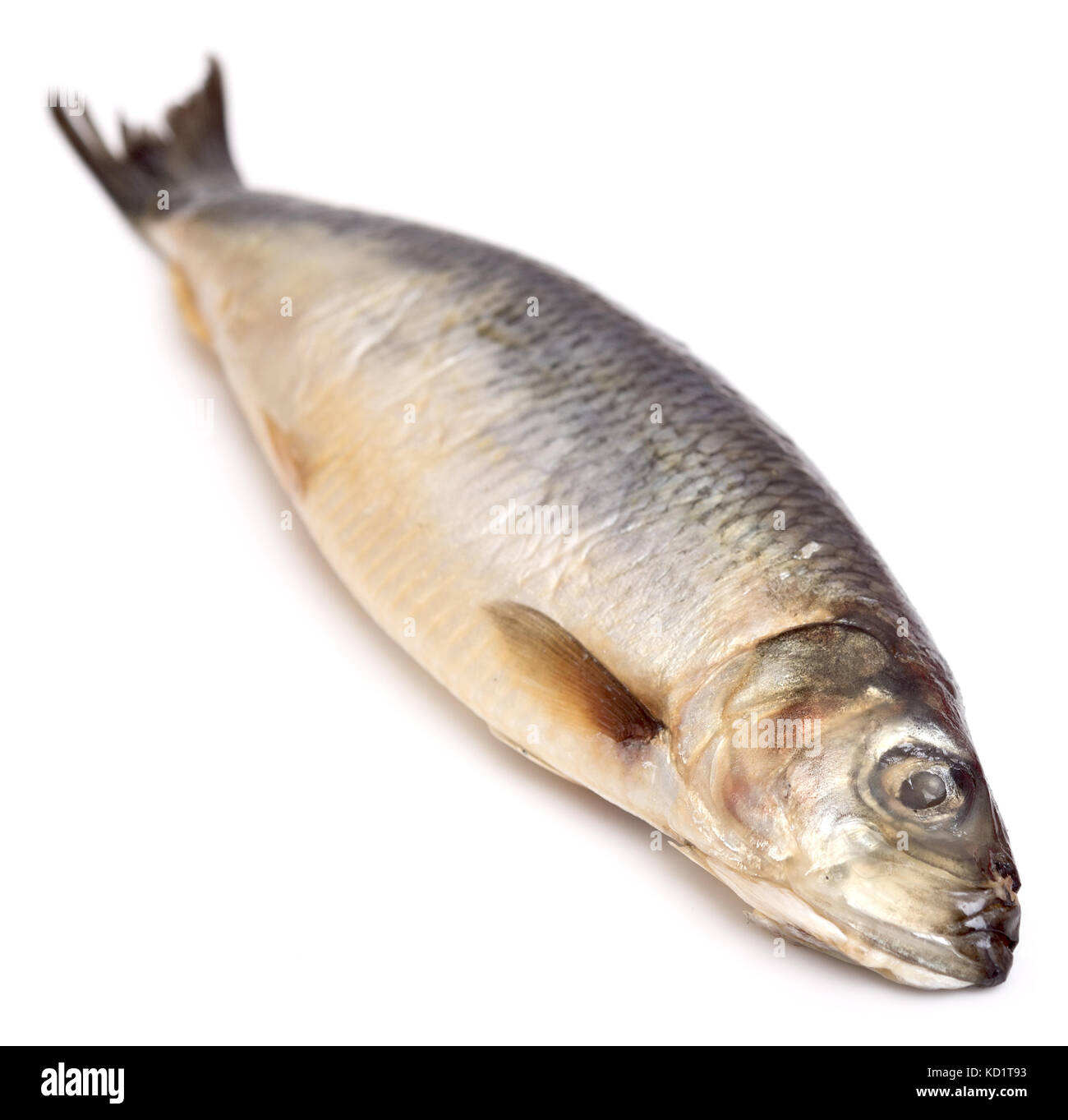 herring isolated on white background Stock Photo - Alamy