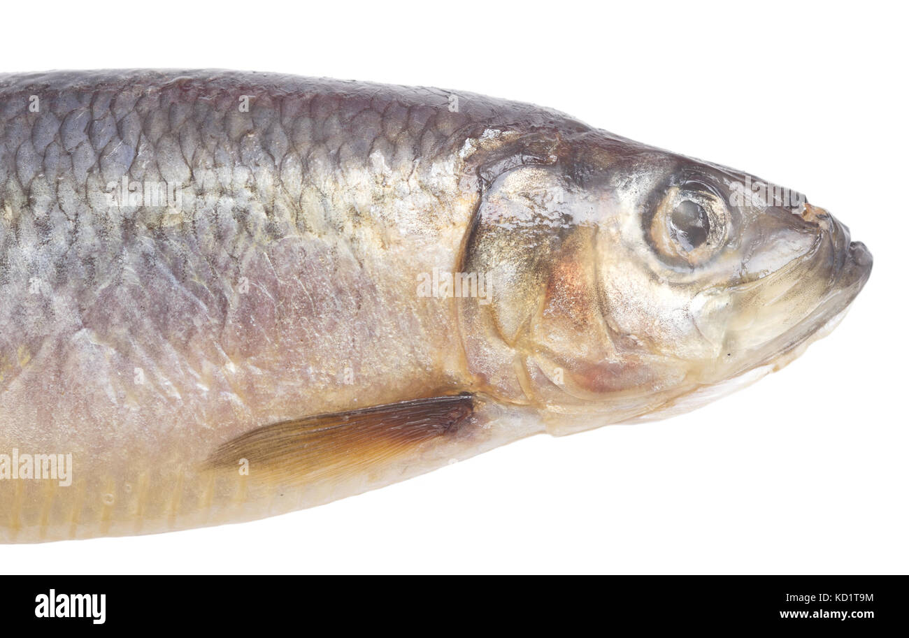 herring isolated on white background Stock Photo - Alamy