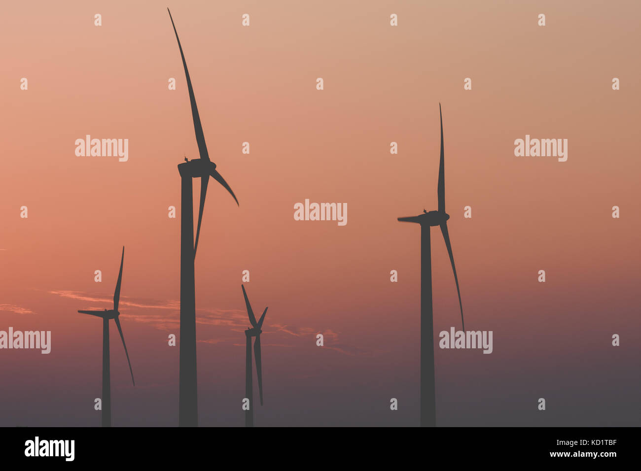 Silhouettes of wind turbines against the sunset Stock Photo - Alamy